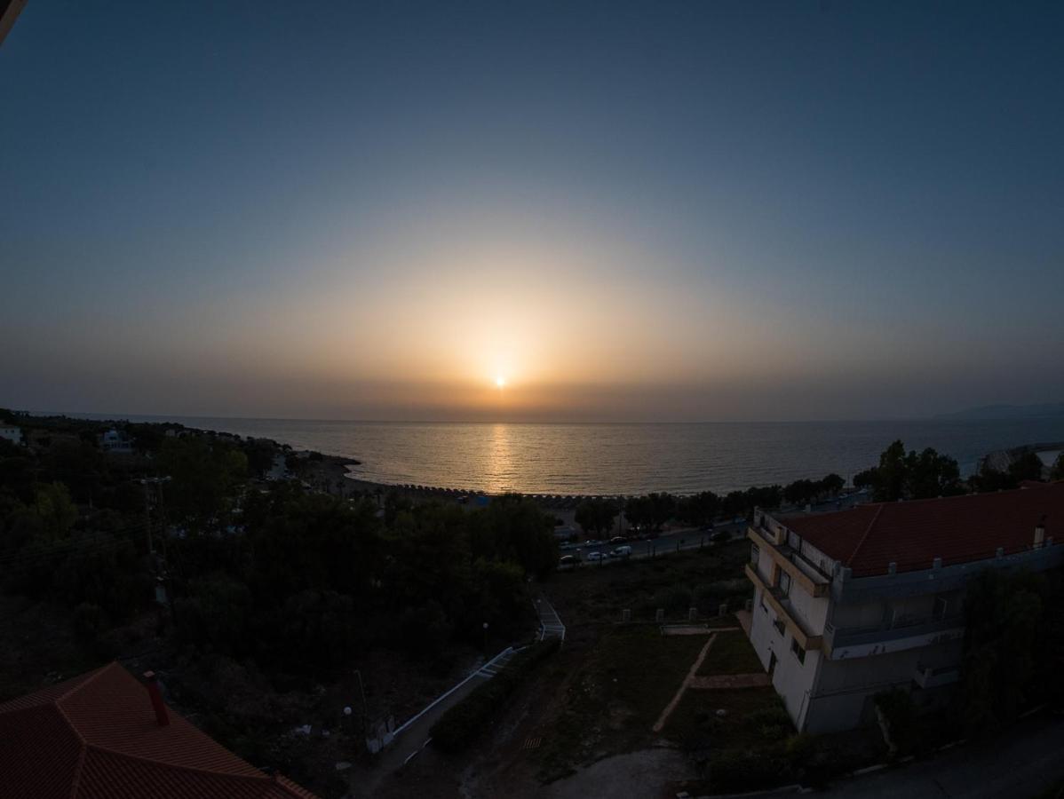 Elegant Beach Hotel Кипарисия Экстерьер фото